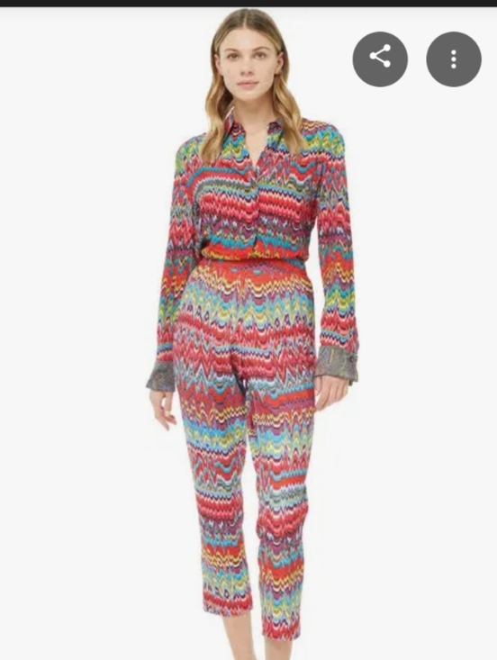 Robert Graham Pants - Robert Graham Dani Pants Chevron Abstract